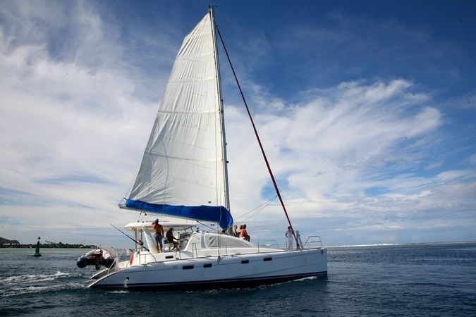 Leopard 43 | Go Zone