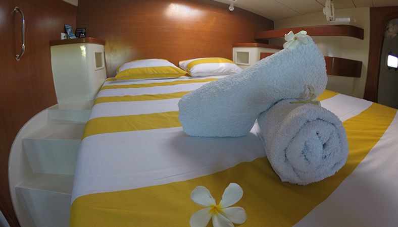 Leopard 43 | Go Zone