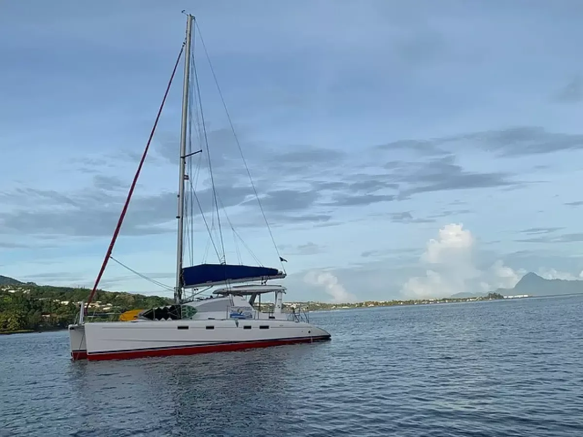 Leopard 43 | Go Zone