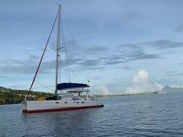 Leopard 43 | Go Zone