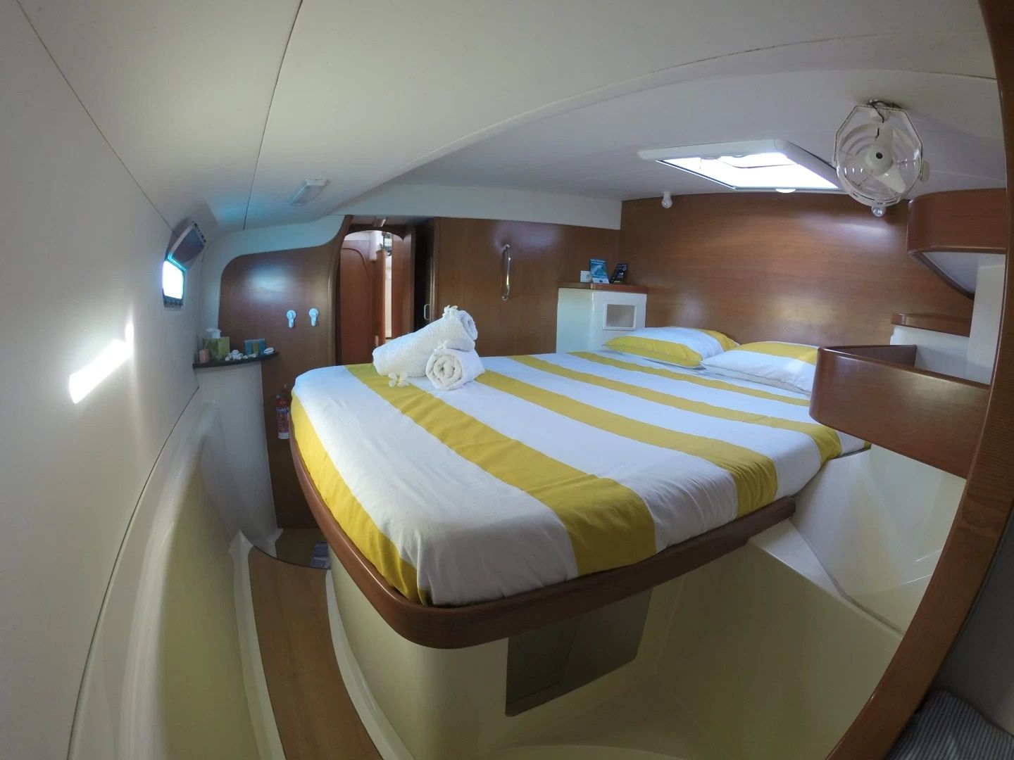 Leopard 43 | Go Zone