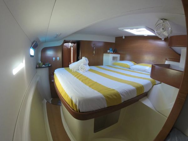 Leopard 43 | Go Zone