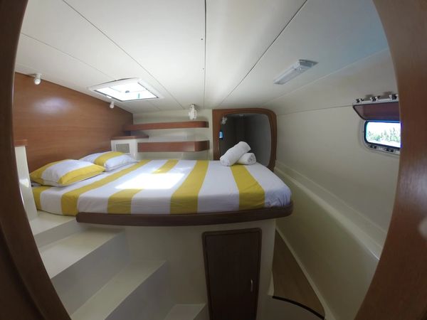 Leopard 43 | Go Zone