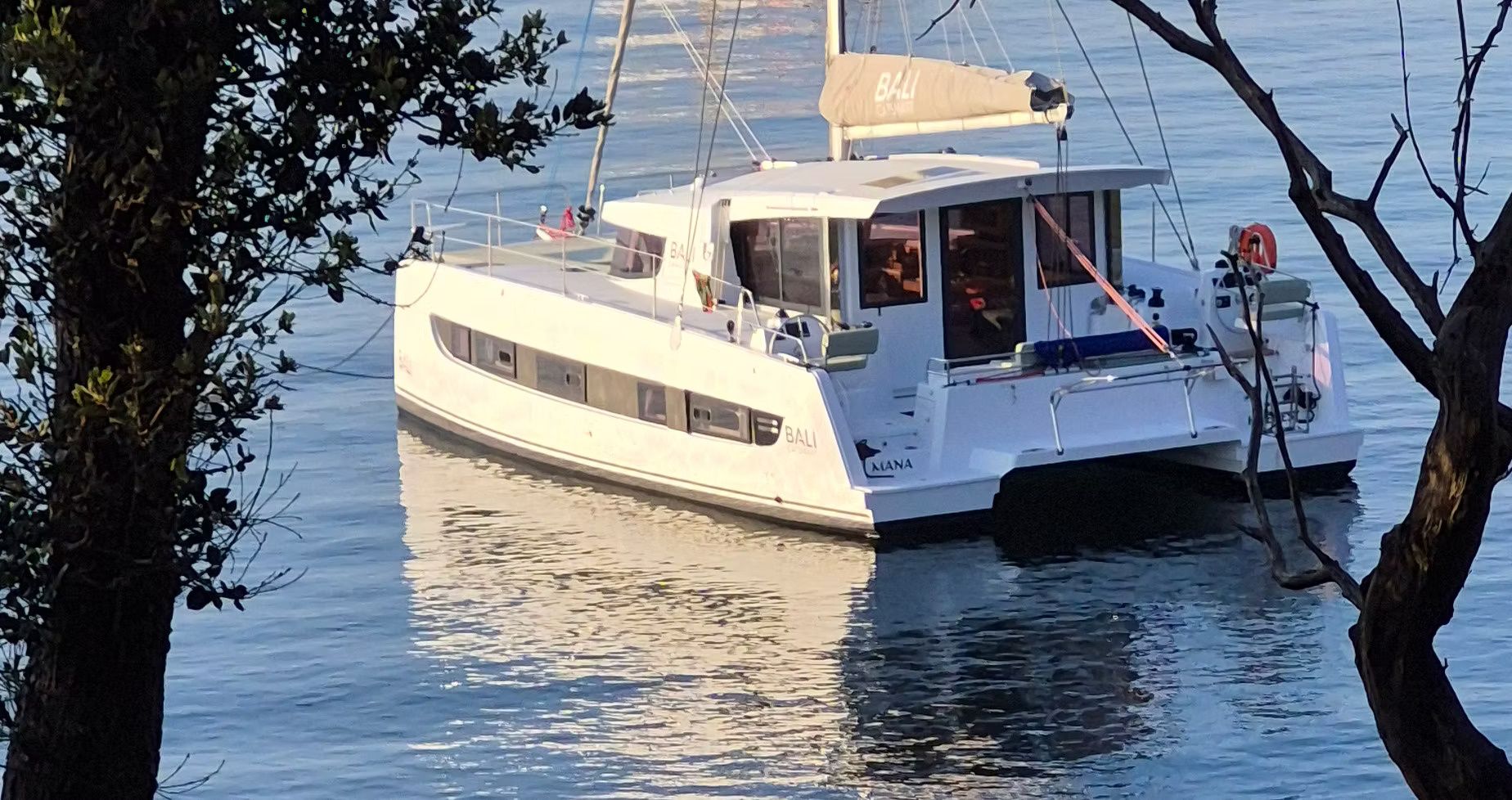 Bali Catsmart | Mana