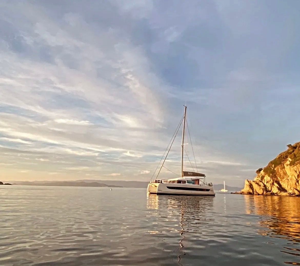 Bali Catsmart | Mana