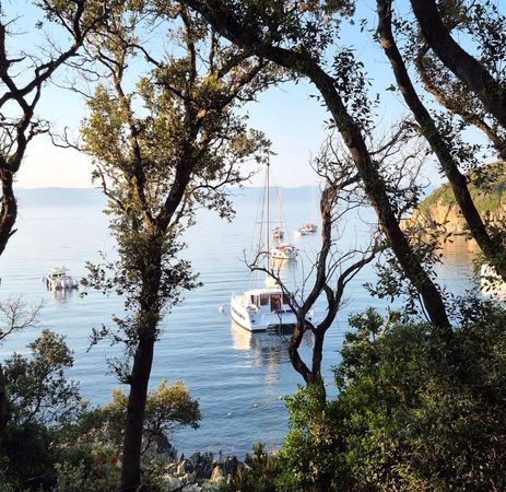 Bali Catsmart | Mana