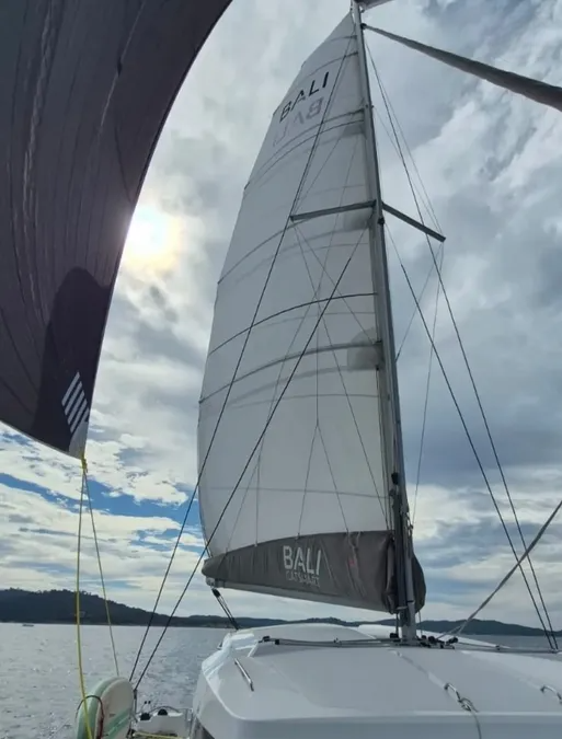 Bali Catsmart | Mana