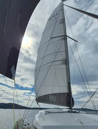 Bali Catsmart | Mana