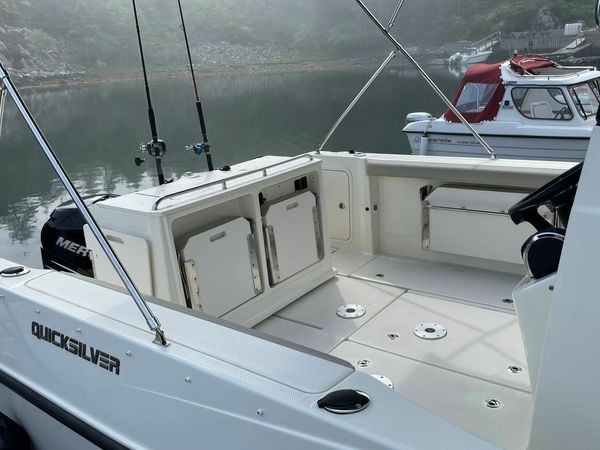 Quicksilver 905 | 17