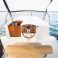 Nautiner Yachts 40.2 | Aft 2