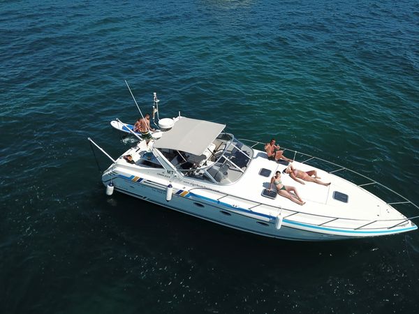 Cranchi 40 | Starfish Bluechip