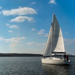 Odysseya S36 | Odysseya 17