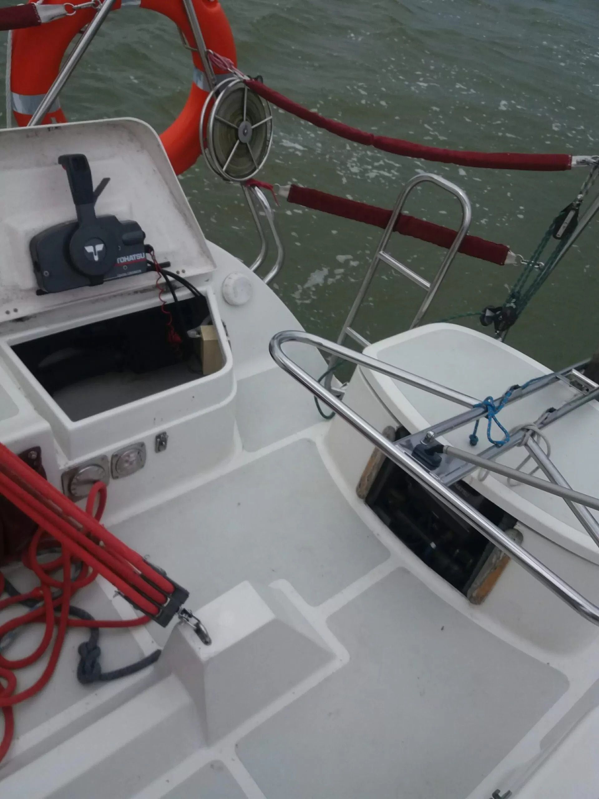 Janmor 28 | Palomino