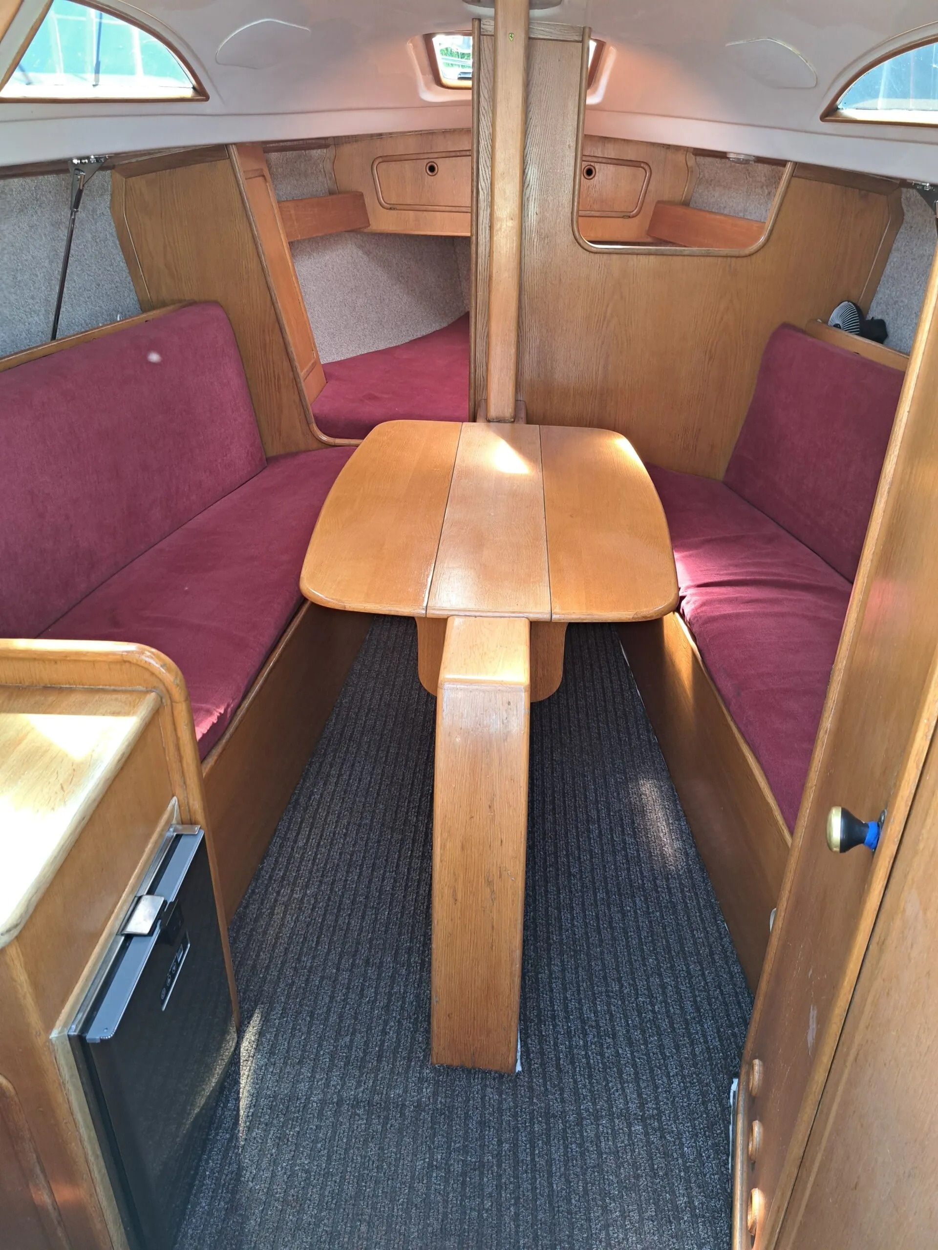 Janmor 28 | Palomino