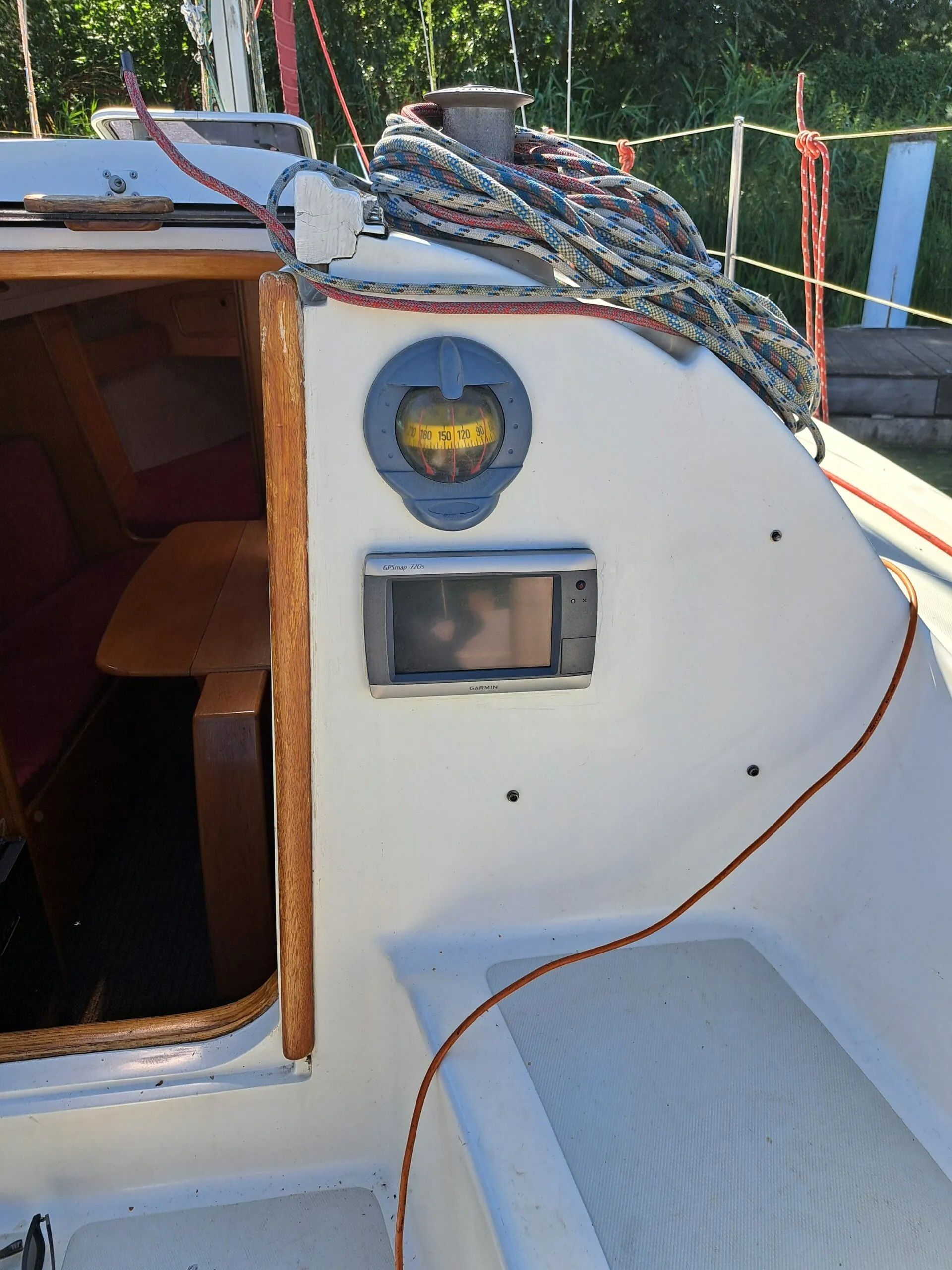 Janmor 28 | Palomino