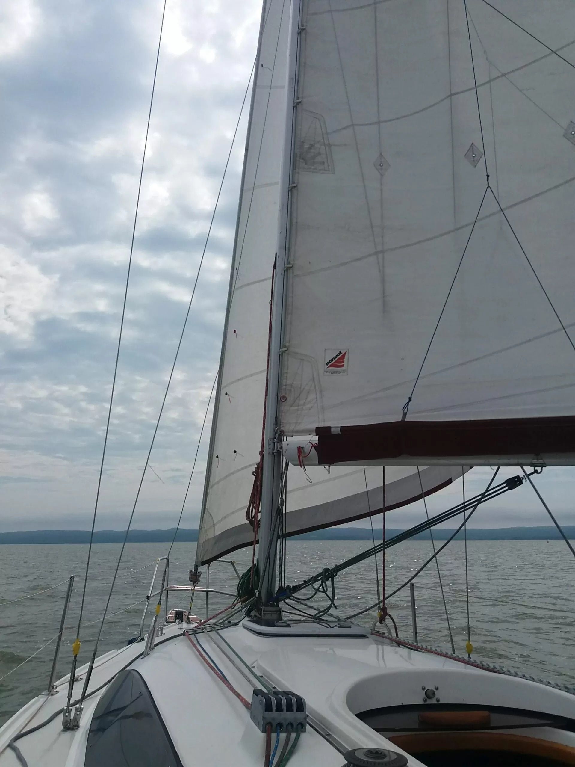 Janmor 28 | Palomino