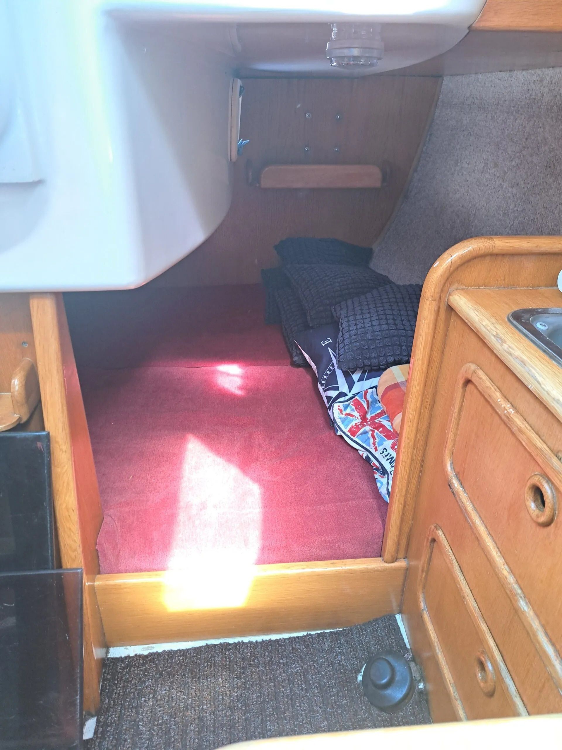 Janmor 28 | Palomino