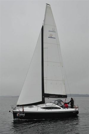 Northman Maxus 33.1 | Sumatra