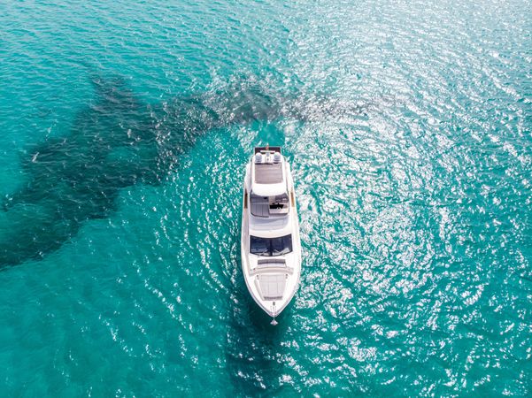 Absolute 62 Fly | Emilia 2