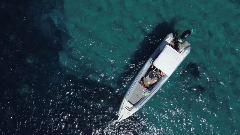 Marvel 960 | Asimina