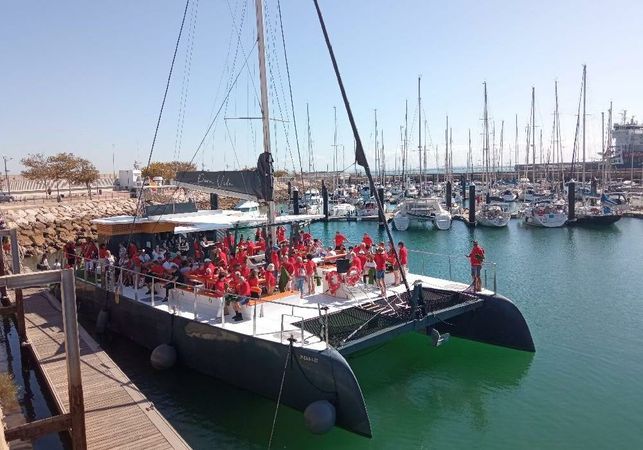 Custom Built 80 | Pura Vida