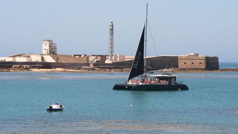 Custom Built 80 | Pura Vida