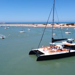 Custom Built 80 | Pura Vida