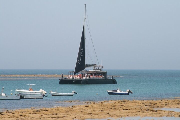 Custom Built 80 | Pura Vida