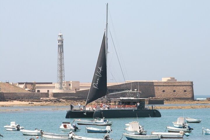 Custom Built 80 | Pura Vida