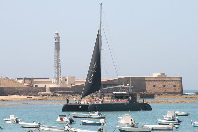 Custom Built 80 | Pura Vida