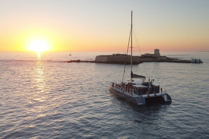 Custom Built 80 | Pura Vida