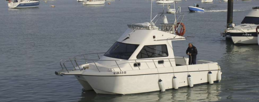 Cata 286 | Albarcocom