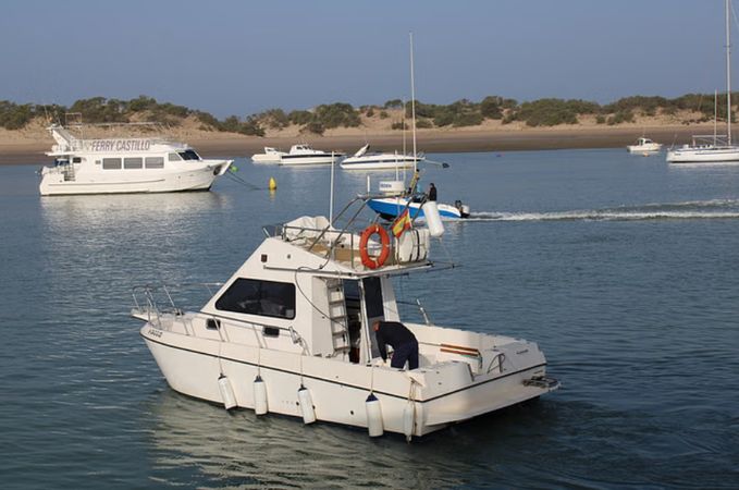 Cata 286 | Albarcocom