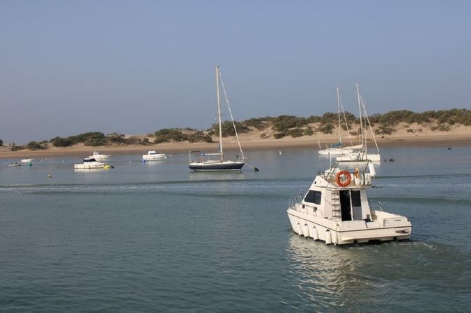 Cata 286 | Albarcocom