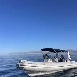 Mostro Top Gun | Mikiouri