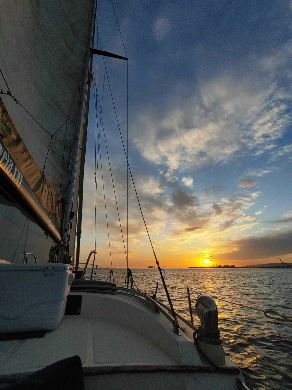 Belliure 40 | Tirant 1