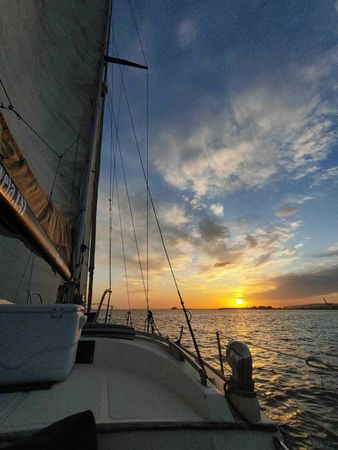 Belliure 40 | Tirant 1