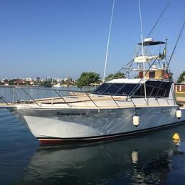 Mares 46 | Sargaco 2