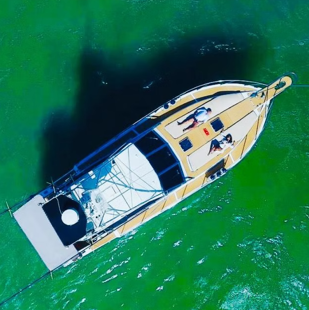 Mares 46 | Sargaco 2