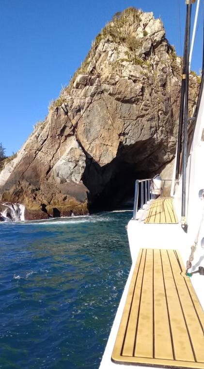 Mares 46 | Sargaco 2