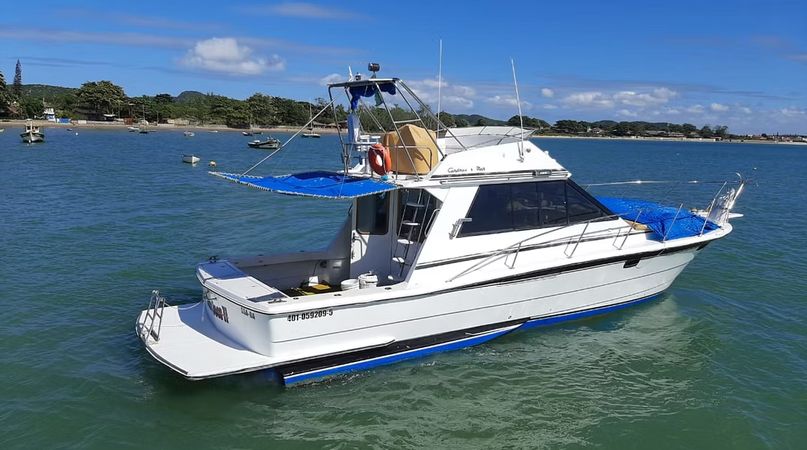 Mares 45 | Tom e Joca 2