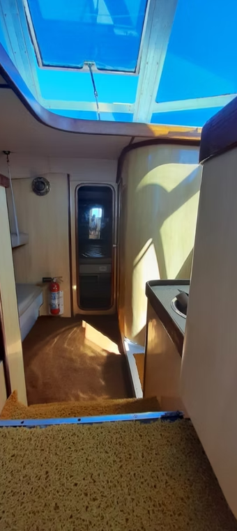 Mares 45 | Tom e Joca 2