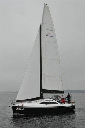 Northman Maxus 33.1 | Negros