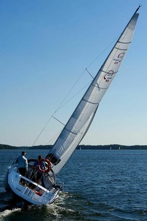 Northman Maxus 33.1 | Negros