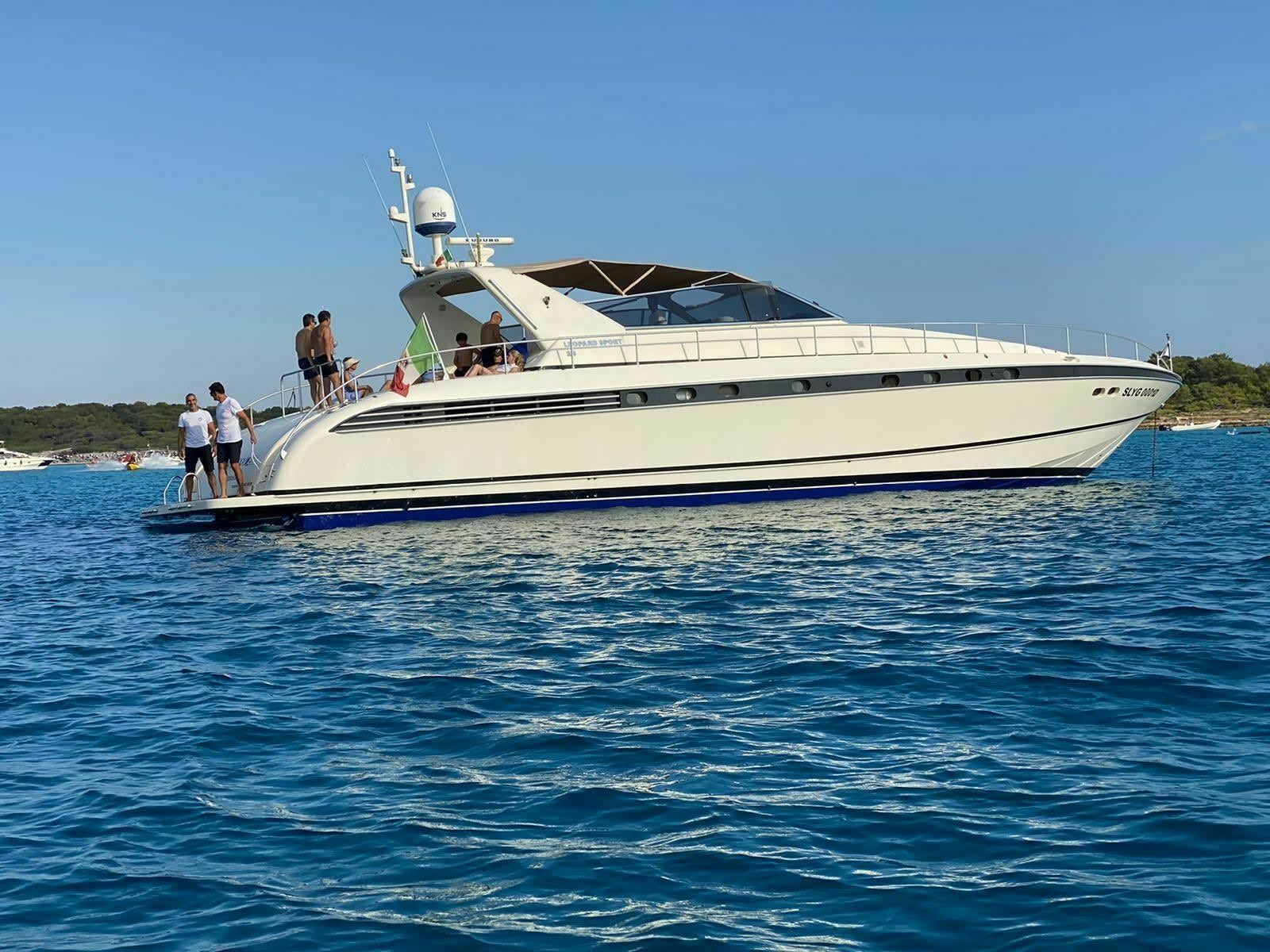 Leopard 23 | Cheetah