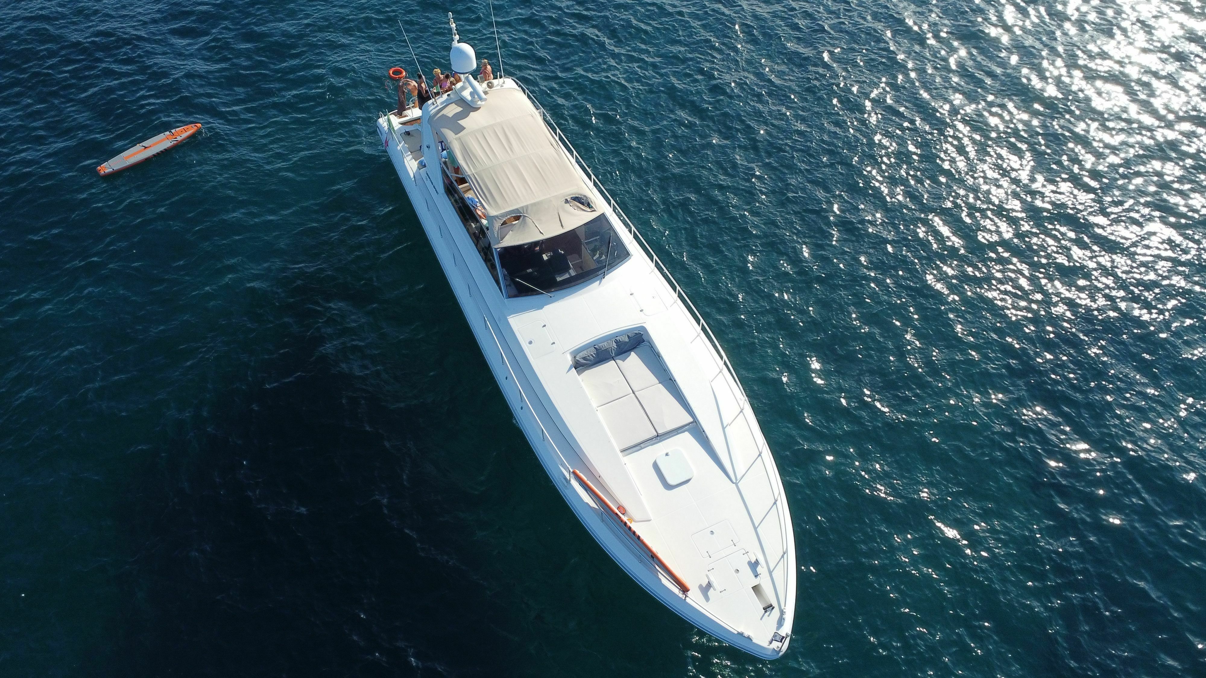 Leopard 23 | Cheetah