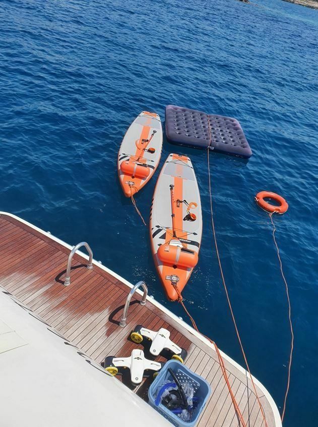 Leopard 23 | Cheetah