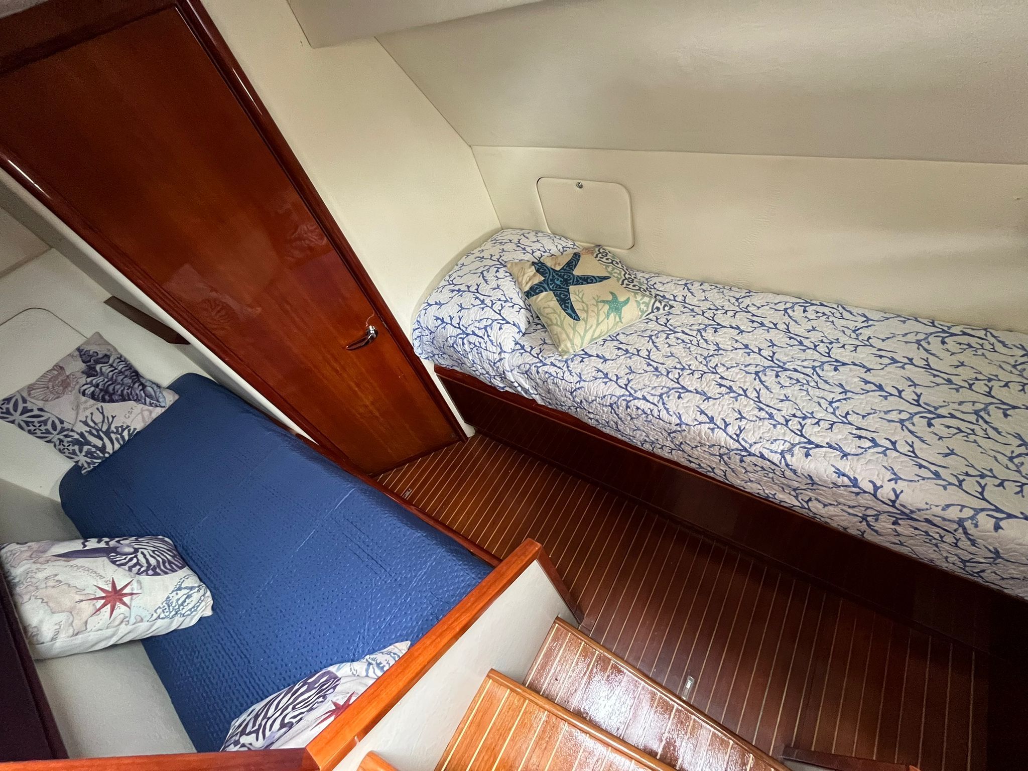 Rizzardi 50 | Blue Eagle