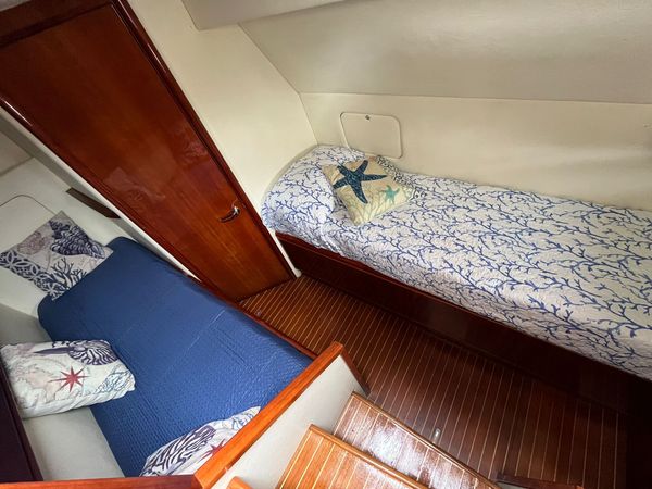 Rizzardi 50 | Blue Eagle