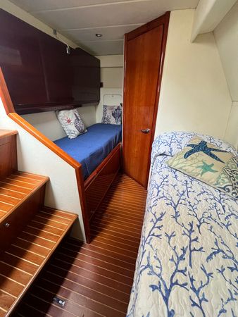 Rizzardi 50 | Blue Eagle